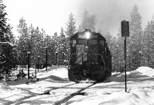 wp3538.jpg (42499 bytes)